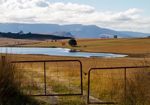 Midlands Meander Tour