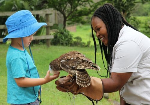 Raptor Centre